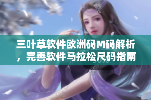 三叶草软件欧洲码M码解析，完善软件马拉松尺码指南