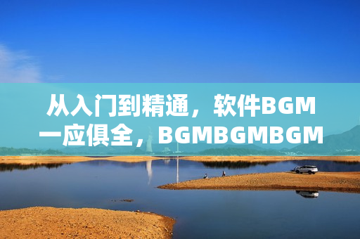 从入门到精通，软件BGM一应俱全，BGMBGMBGM价格大揭秘！