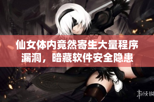 仙女体内竟然寄生大量程序漏洞，暗藏软件安全隐患