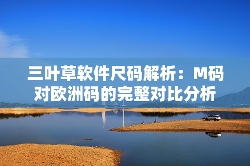 三叶草软件尺码解析：M码对欧洲码的完整对比分析