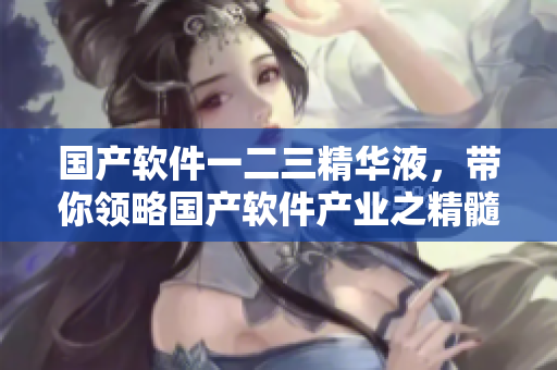 国产软件一二三精华液，带你领略国产软件产业之精髓
