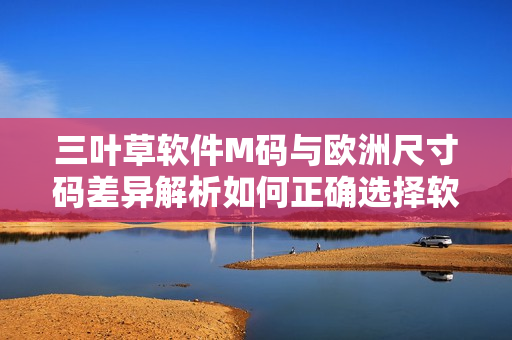 三叶草软件M码与欧洲尺寸码差异解析如何正确选择软件开发者服装大小？