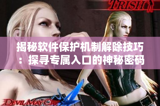 揭秘软件保护机制解除技巧：探寻专属入口的神秘密码