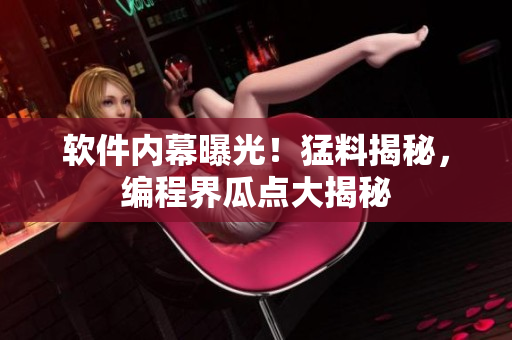 软件内幕曝光！猛料揭秘，编程界瓜点大揭秘