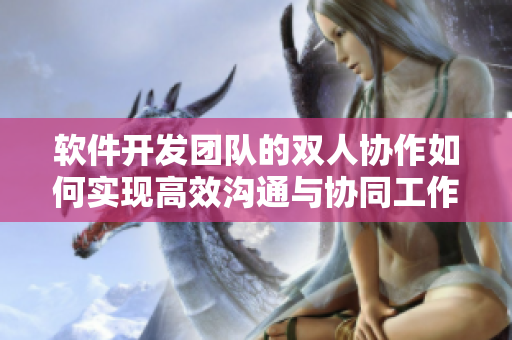 软件开发团队的双人协作如何实现高效沟通与协同工作