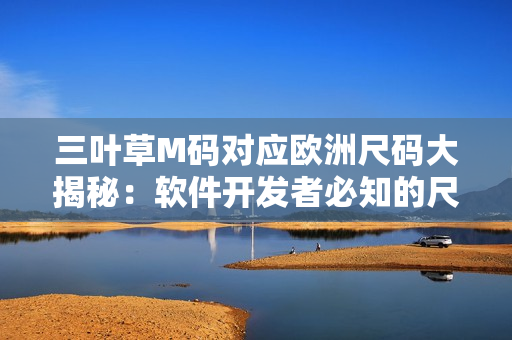 三叶草M码对应欧洲尺码大揭秘：软件开发者必知的尺码对照表