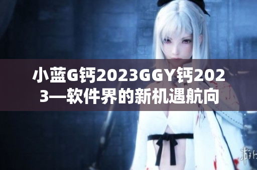 小蓝G钙2023GGY钙2023—软件界的新机遇航向
