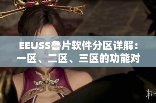 EEUSS鲁片软件分区详解：一区、二区、三区的功能对比