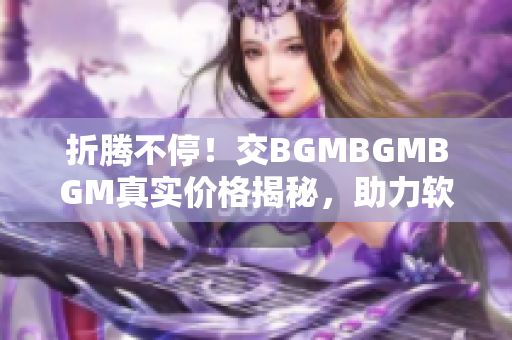 折腾不停！交BGMBGMBGM真实价格揭秘，助力软件迷寻找最佳背景音乐