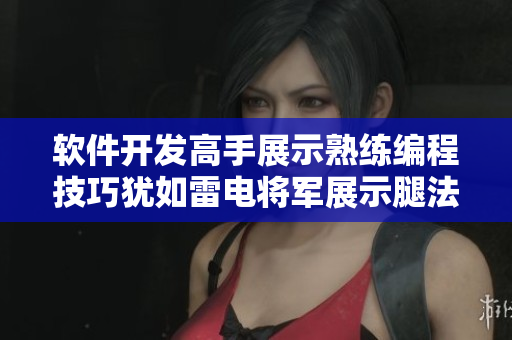 软件开发高手展示熟练编程技巧犹如雷电将军展示腿法，让人拍案叫绝。