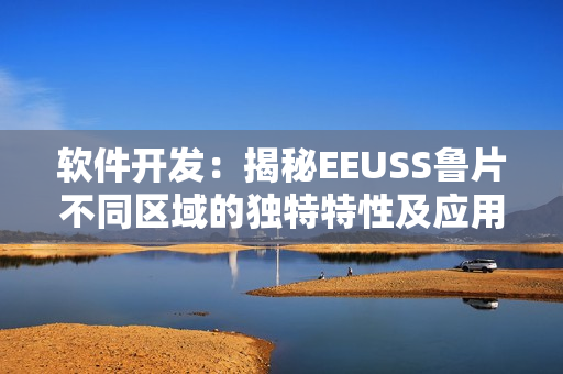 软件开发：揭秘EEUSS鲁片不同区域的独特特性及应用场景