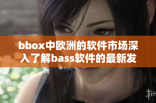 bbox中欧洲的软件市场深入了解bass软件的最新发展