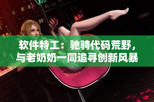 软件特工：驰骋代码荒野，与老奶奶一同追寻创新风暴