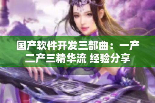 国产软件开发三部曲：一产二产三精华流 经验分享