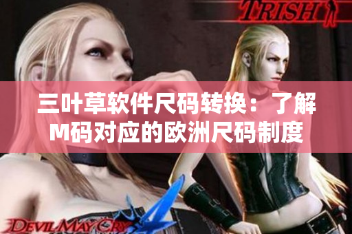 三叶草软件尺码转换：了解M码对应的欧洲尺码制度