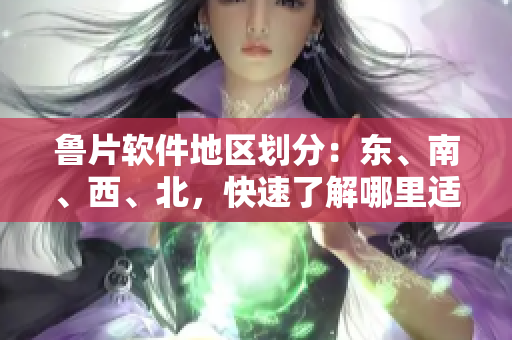 鲁片软件地区划分：东、南、西、北，快速了解哪里适合下载使用