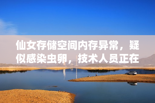 仙女存储空间内存异常，疑似感染虫卵，技术人员正在紧急处理