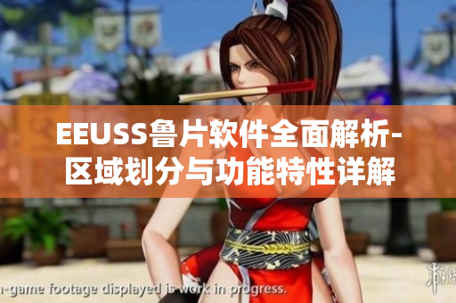 EEUSS鲁片软件全面解析-区域划分与功能特性详解