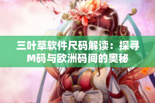 三叶草软件尺码解读：探寻M码与欧洲码间的奥秘