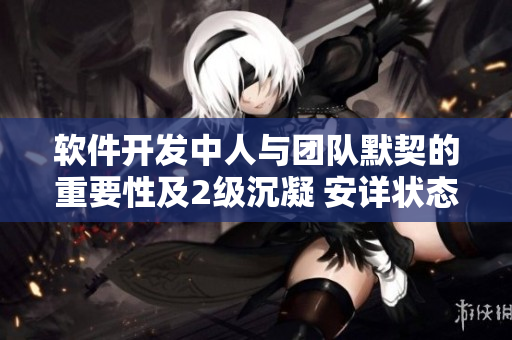 软件开发中人与团队默契的重要性及2级沉凝 安详状态