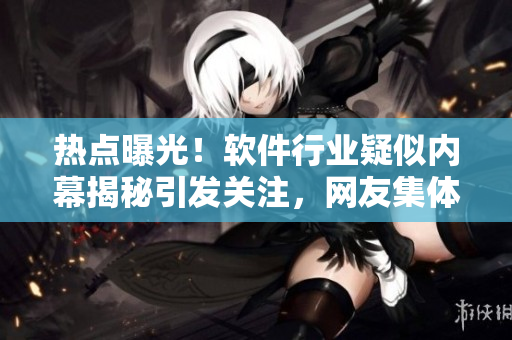 热点曝光！软件行业疑似内幕揭秘引发关注，网友集体“吃瓜”盯紧屏幕