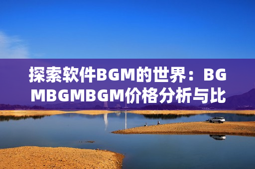 探索软件BGM的世界：BGMBGMBGM价格分析与比较