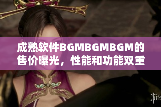 成熟软件BGMBGMBGM的售价曝光，性能和功能双重提升