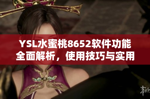 YSL水蜜桃8652软件功能全面解析，使用技巧与实用指南