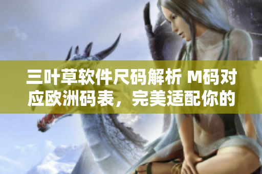 三叶草软件尺码解析 M码对应欧洲码表，完美适配你的软件需求