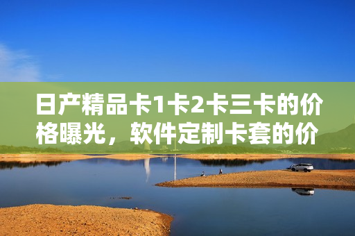 日产精品卡1卡2卡三卡的价格曝光，软件定制卡套的价格一览