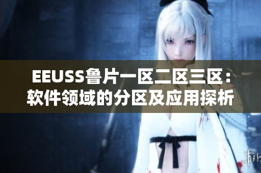 EEUSS鲁片一区二区三区：软件领域的分区及应用探析