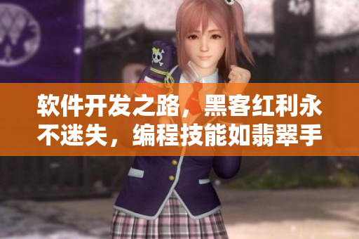 软件开发之路，黑客红利永不迷失，编程技能如翡翠手镯闪耀璀璨。