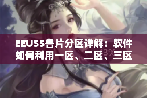 EEUSS鲁片分区详解：软件如何利用一区、二区、三区提升效能