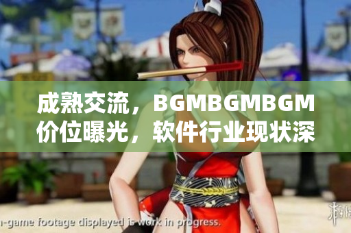 成熟交流，BGMBGMBGM价位曝光，软件行业现状深度分析