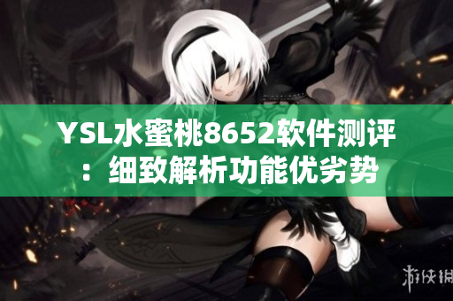 YSL水蜜桃8652软件测评：细致解析功能优劣势