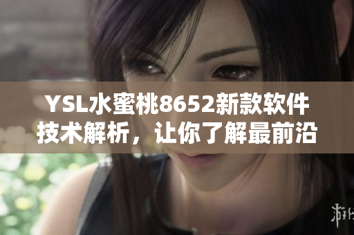 YSL水蜜桃8652新款软件技术解析，让你了解最前沿的使用方法