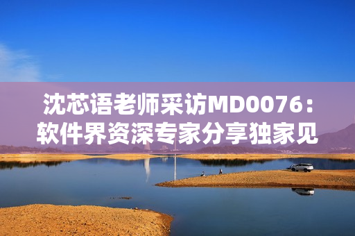 沈芯语老师采访MD0076：软件界资深专家分享独家见解