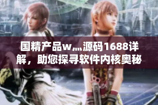 国精产品w灬源码1688详解，助您探寻软件内核奥秘