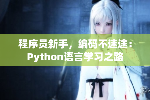 程序员新手，编码不迷途：Python语言学习之路