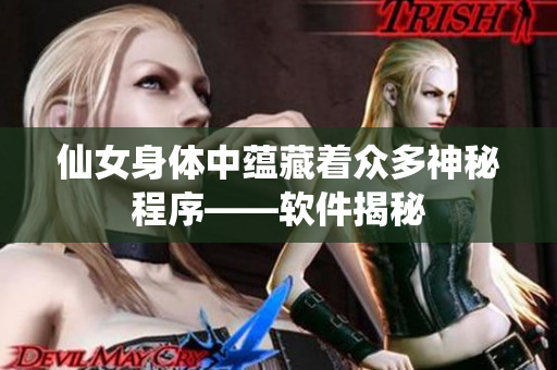 仙女身体中蕴藏着众多神秘程序——软件揭秘
