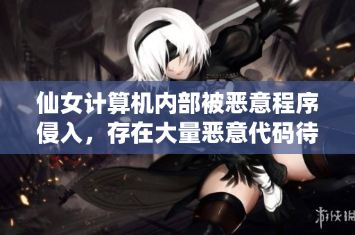 仙女计算机内部被恶意程序侵入，存在大量恶意代码待清除