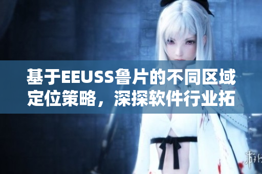 基于EEUSS鲁片的不同区域定位策略，深探软件行业拓展路径