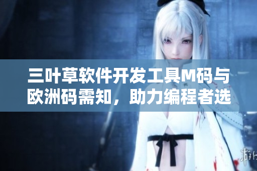 三叶草软件开发工具M码与欧洲码需知，助力编程者选择正确尺码