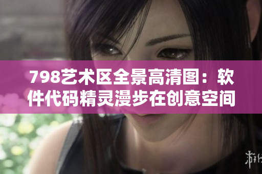 798艺术区全景高清图：软件代码精灵漫步在创意空间