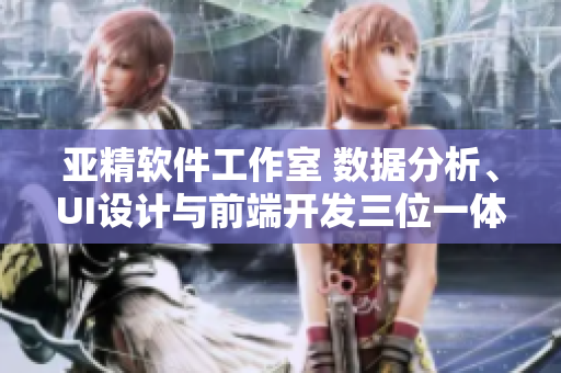 亚精软件工作室 数据分析、UI设计与前端开发三位一体