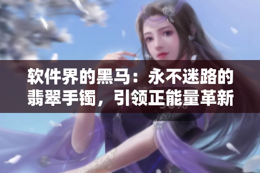 软件界的黑马：永不迷路的翡翠手镯，引领正能量革新之路