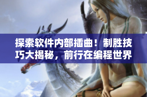探索软件内部插曲！制胜技巧大揭秘，前行在编程世界的征程中