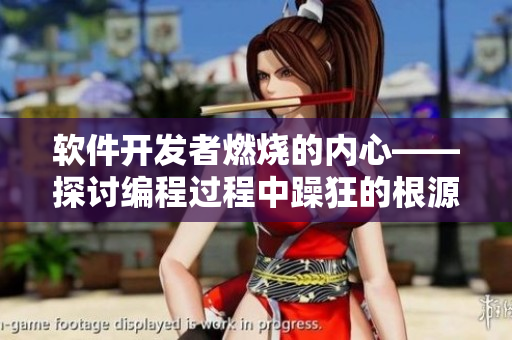 软件开发者燃烧的内心——探讨编程过程中躁狂的根源