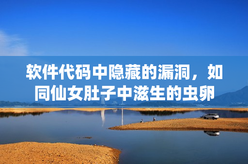 软件代码中隐藏的漏洞，如同仙女肚子中滋生的虫卵