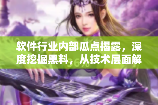软件行业内部瓜点揭露，深度挖掘黑料，从技术层面解析，探索万里长征